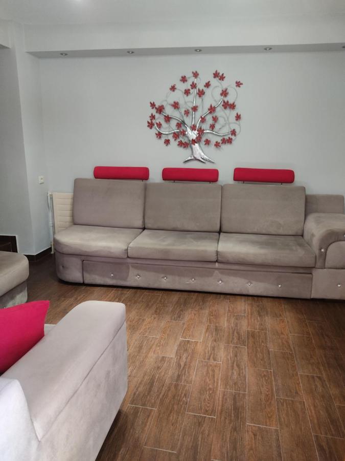 Elsa'S House Apartment Arta Ngoại thất bức ảnh